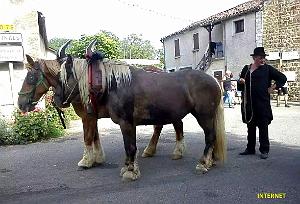 Espinas - Fete Fenaisons - 69